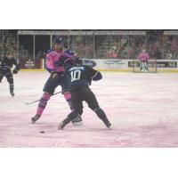 Sioux Falls Stampede battle the Fargo Force