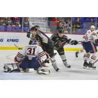 Vancouver Giants C Dawson Holt scrambles in front of the Kamloops Blazers' net