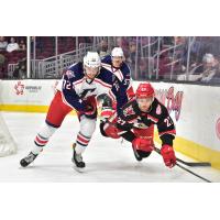 Cleveland Monsters C Ryan MacInnis (72) trips up a Grand Rapids Griffin