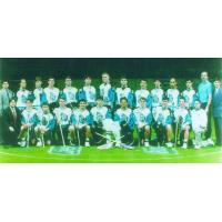 The 1995 Rochester Knighthawks