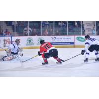 Cullen Bradshaw of the Adirondack Thunder Skates in against the Reading Royals