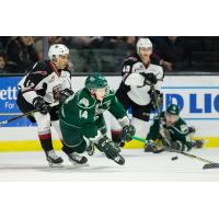Vancouver Giants C Justin Sourdif battles for the puck vs. the Evertt Silvertips
