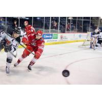 Allen Americans LW Greg Chase pursues the puck against the Rapid City Rush