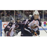 Greenville Swamp Rabbits defend their goal against the South Carolina Stingrays