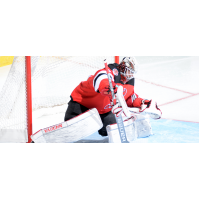Binghamton Devils goaltender Mackenzie Blackwood