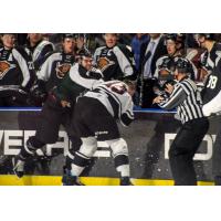Utah Grizzlies and Rapid City Rush fight