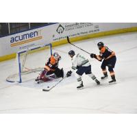 Derek Sheppard of the Florida Everblades readies a shot against the Greenville Swamp Rabbits