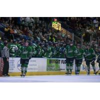 Florida Everblades line up for fist bumps
