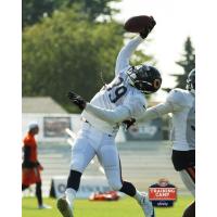 DB Qumain Black in training camp with the Chicago Bears
