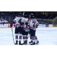Evansville Thunderbolts celebrate a goal against the Quad City Storm
