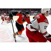 Lehigh Valley Phantoms in action against the Charlotte Checkers
