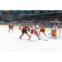 Lehigh Valley Phantoms defend against the Charlotte Checkers