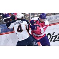 Chad Duchesne of the Greenville Swamp Rabbits tangles with a member of the Orlando Solar Bears