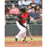 Hickory Crawdads at the plate