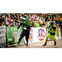 West Virginia Roughriders in American Arena League action