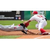Vancouver Canadians 1B Yorman Rodriguez struggles to keep a pick-off throw from getting past him on Friday afternoon