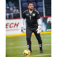 Dallas Sidekicks goalkeeper Juan Gamboa