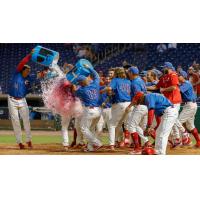 Clearwater Threshers celebrate a win during the 2019 season
