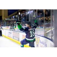 Michael McNicholas of the Maine Mariners