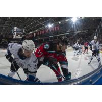 Kelowna Rockets centre Alex Swetlikoff (right) against the Victoria Royals