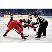 Binghamton Devils right wing Ludvig Larsson (right) faces off against the Hartford Wolf Pack