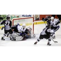 Vancouver Giants goaltender Trent Miner Clogs the goal against the Victoria Royals