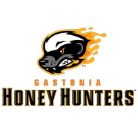 Gastonia Honey Hunters logo