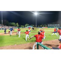 Charleston RiverDogs storm the field after a walk-off win