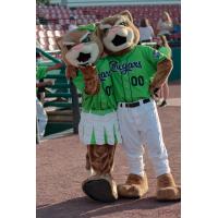 Kane County Cougars mascots Ozzie and Annie T. Cougar