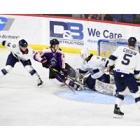 Reading Royals vs. the Worcester Railers